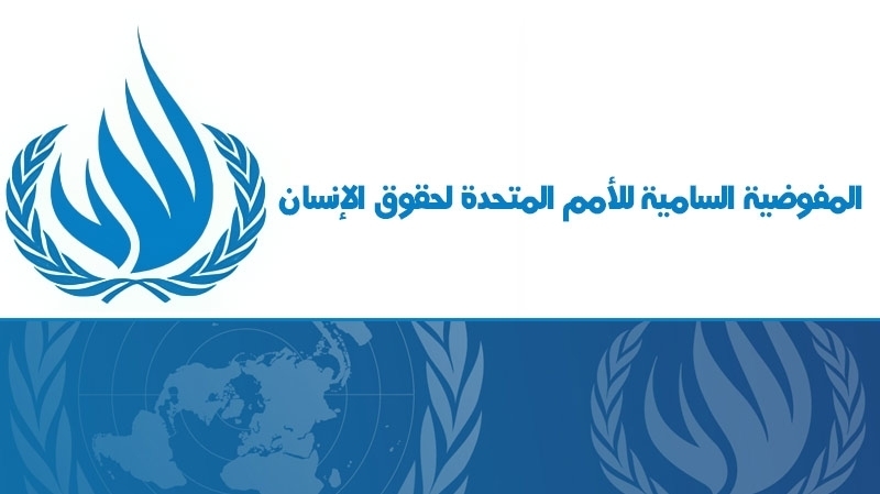 الأمم المتحدة: "حكومة هادي" غير مؤهلة للقيام بالتحقيق بانتهاكات حقوق الإنسان في اليمن