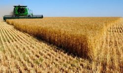 الصادرات الزراعية الروسية إلى السعودية تتضاعف بنحو 2.4 مرة