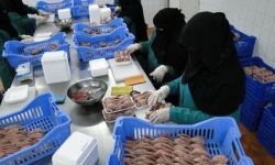 السعودية.. أبعاد اقتصادية لتغيرات اجتماعية