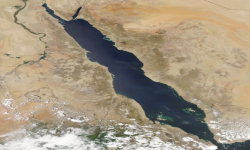 التحركات السعودية ومحاولات السيطرة على البحر الأحمر