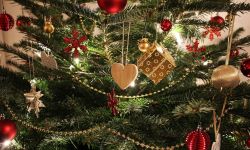 السعودية تؤكد منع استيراد شجرة "الكريسماس" ومغردون يؤكدن وجودها بالمتاجر