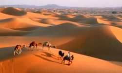 "هوليوود الصحراء".. السعودية تكافح لتحقيق حلمها رغم العوائق الثقافية والسمعة الملطخة