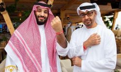نيويورك تايمز: محمد بن زايد يتدخل الشؤون الداخلية للسعودية وهو من عيّن بن سلمان