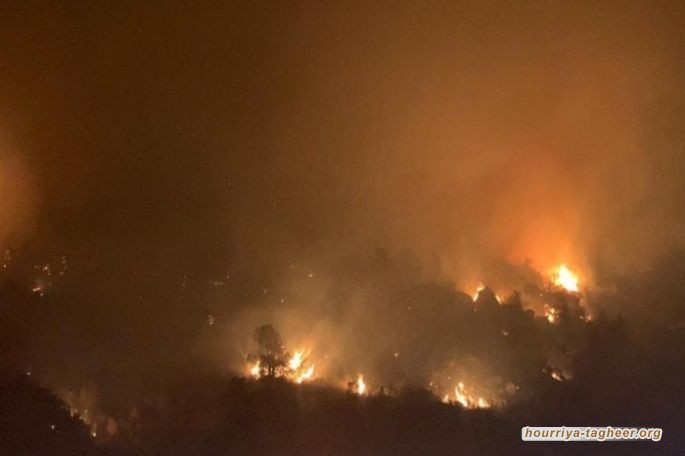 الحرائق تتواصل في عسير وأصابع الاتهام تتجه لهؤلاء..