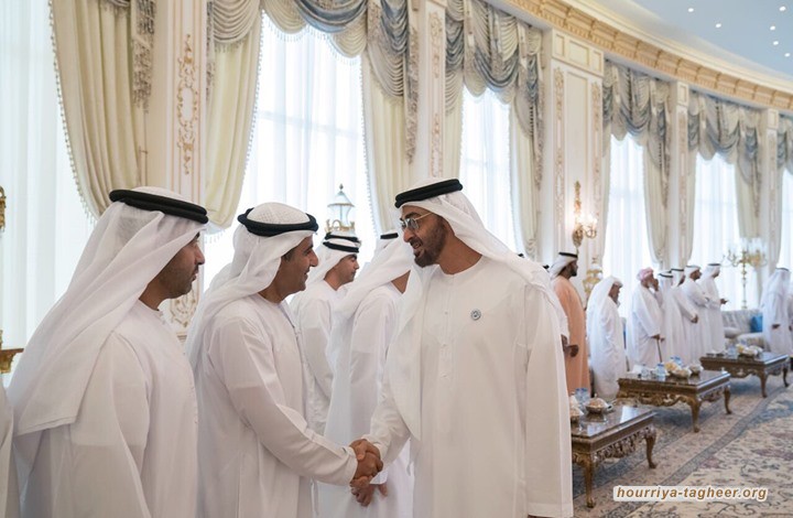 مسؤول إماراتي يصف مؤيدي آل سعود بـ"الذباب".. وجدل