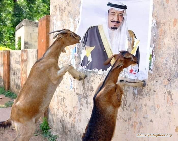 استطلاع يكشف عدم رضا السعوديين عن حكومة ال سعود