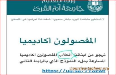 على نهج الاستخراء ابنائنا الكلاب