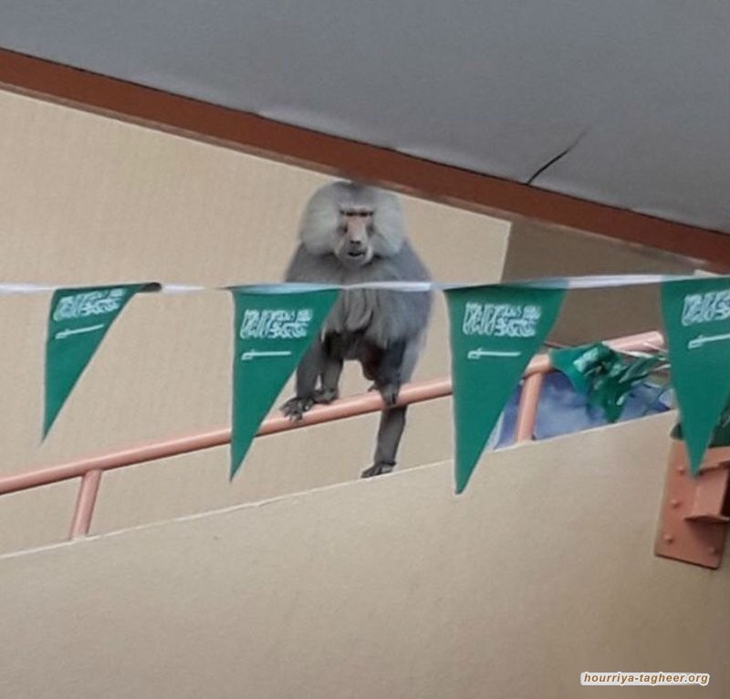 عجز ميزانية السعودية تدفعها إلى المزيد من الاقتراض