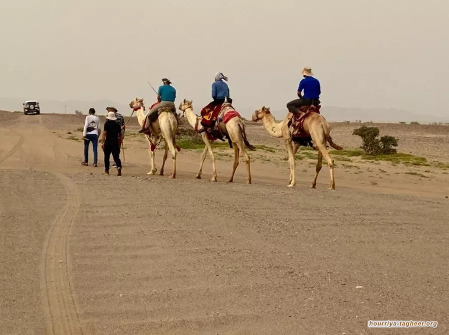 السلطات السعودي تحويل طريق الهجرة إلى مشروع تجاري