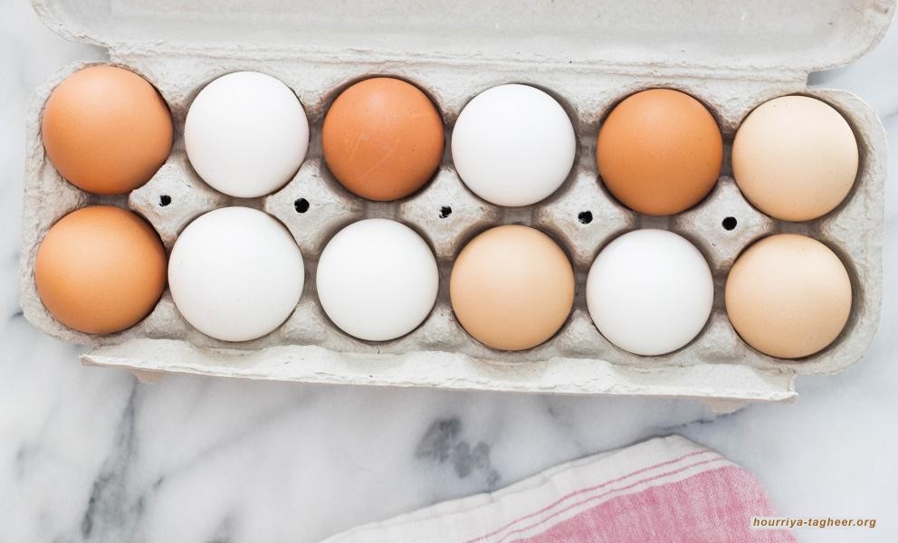 في ظل كورونا.. ما حقيقة "أزمة البيض" بمملكة آل سعود؟