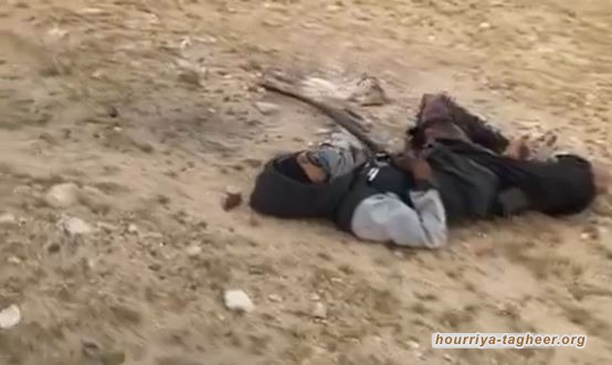 اشتعل وتفحم.. مشهد مخيف لصاعقة قتلت راعي غنم