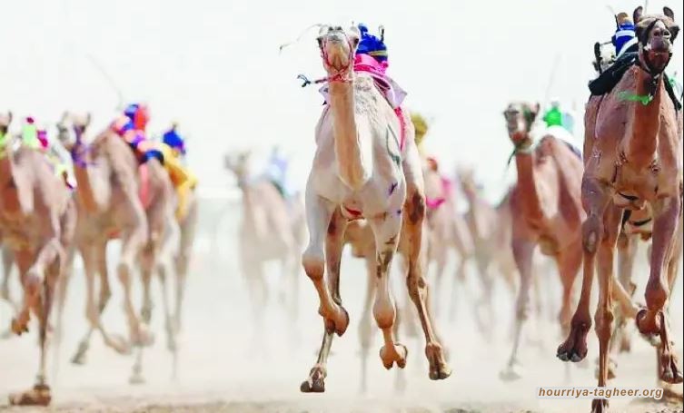 سعوديات يتطايرن في الهواء.. سباق الهجن للنساء يثير السخرية