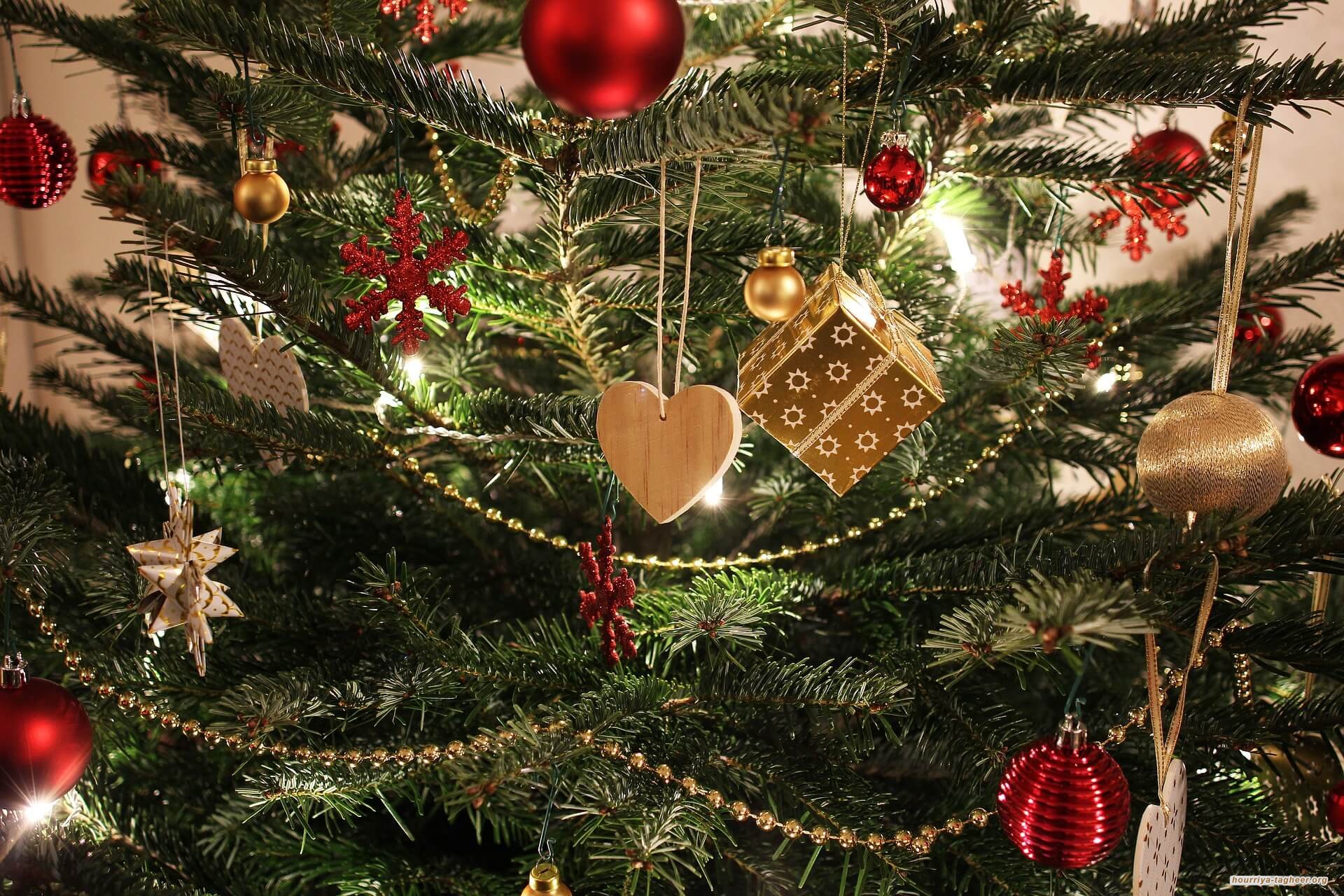 السعودية تؤكد منع استيراد شجرة "الكريسماس" ومغردون يؤكدن وجودها بالمتاجر