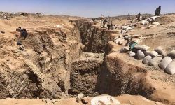 تحذر من قرصنة سعودية للثروات اليمن السيادية