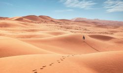 السلطات السعودية تستورد الرمال وهي مملكة الرمال