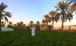 السلطات السعودية تشدد رقابتها على مزارعي القطيف