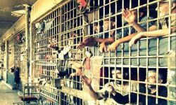 وثيقة تكشف انتهاكات شنيعة في سجون السعودية