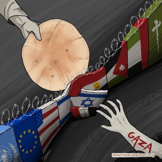 مذبحة غزّة وكيّ الوعي العربي