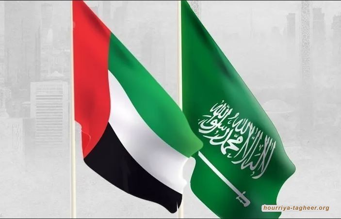 عن المقاربة السعودية الإماراتية في البحر الأحمر