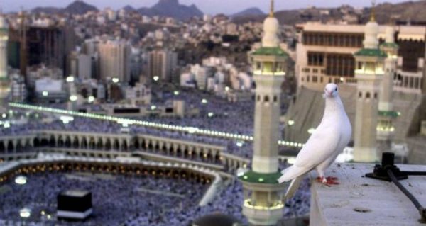 ناشطون على “تويتر”: آل سعود يملؤون جيوبهم من أموال المسلمين