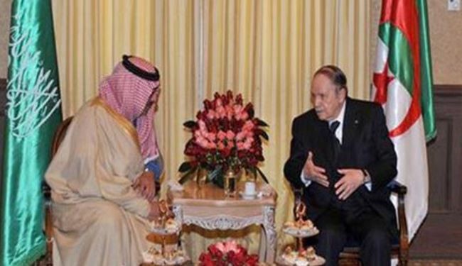 مصدر مصري: آل سعود اعدوا العدة لقلب نظام الحكم في الجزائر