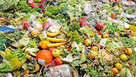 السعودية الأولى عالميا في الهدر الغذائي