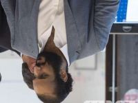 الأمير يقترب من السقوط والملك يُحضر البديل