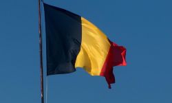 بلجيكا تعلّق 4 تراخيص لتصدير أسلحة إلى السعودية