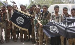 قتلى القاعدة وفضيحة المدافعين عن "الشرعية" في اليمن!