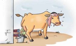 ترامب في السلطة او خارجها يحلب ببقرة المفضلة السعودية