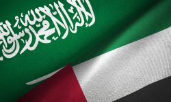 الإمارات والسعودية تتصدران قائمة أسوأ عشر دول بحرية الإنترنت