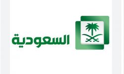 قناة سعودية تؤكد منهجية اعتقال نشطاء بسبب تغريدات تويتر