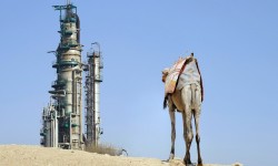 النفط يدفع السعودية إلى الإصلاح أو الإفلاس