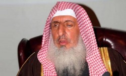 شرخ كبير بين المؤسسات الدينية والسياسية في السعودية فما أسبابه؟