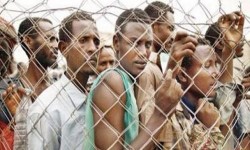 الكيان السعودي يلوذ بالمهاجرين الافارقة للحرب على اليمن