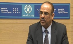 وزير الزراعة في حكومة الفار هادي : عاصفة الحزم فشلت والسعودية خذلتنا.