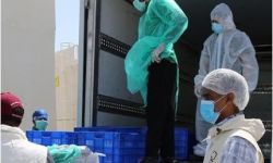 وزارة الصحة تسجل أكبر عدد إصابات بفيروس كورونا منذ انتشاره في البلاد